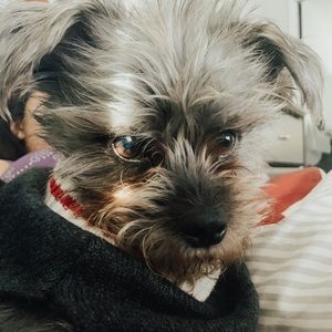 Meet your Posher, Yamil